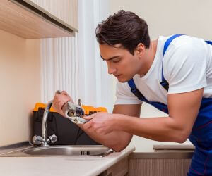 About Plumbers Pros Port Crane, NY